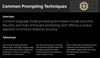 Common Prompting Techniques